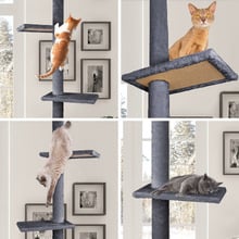 286cm Cecil Cat Tree